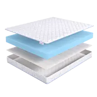 Roll Standart Season